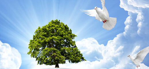 品牌設(shè)計(jì)公司在社會(huì)上有什么用途？