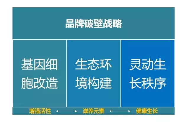 品牌升級必看的四大策略!