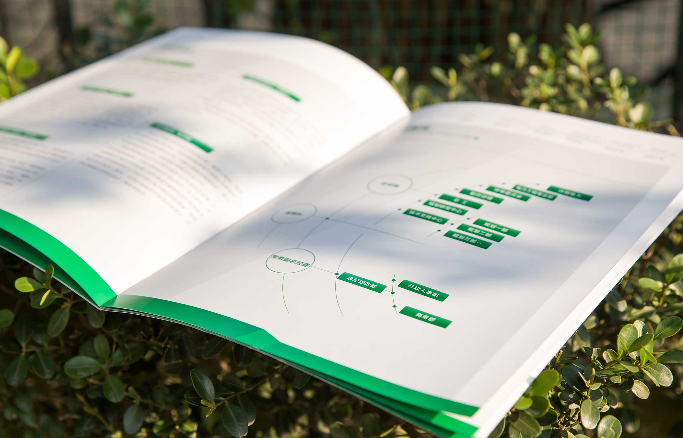 互動營銷策劃公司幫助企業(yè)