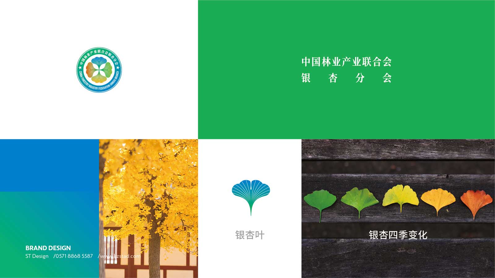 1594636195910699.jpg 1579243820980648.jpg