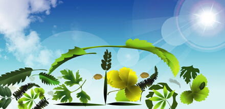 品牌設(shè)計(jì)