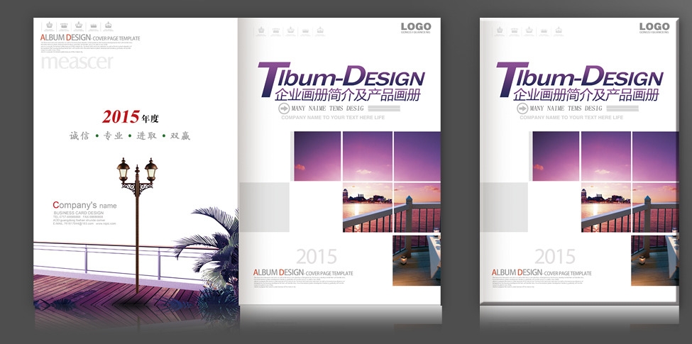 房地產(chǎn)宣傳冊設(shè)計(jì)