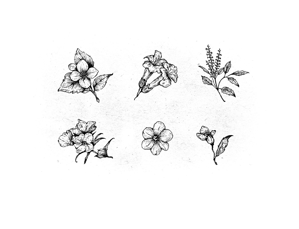 化妝品護膚產品包裝設計— 百分之百天然手工皂，沐浴露和洗滌液品牌包裝設計