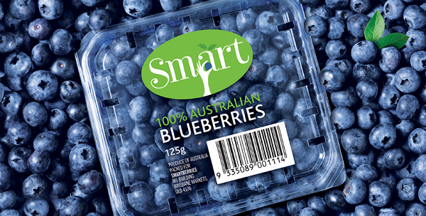 水果-藍(lán)莓,黑莓,覆盆子,西紅柿,橙子,蘋(píng)果包裝設(shè)計(jì)大全