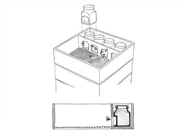 見過喝蜂蜜的，見過舉著蜂巢喝蜂蜜的嗎？｜奇特蜂蜜包裝設(shè)計