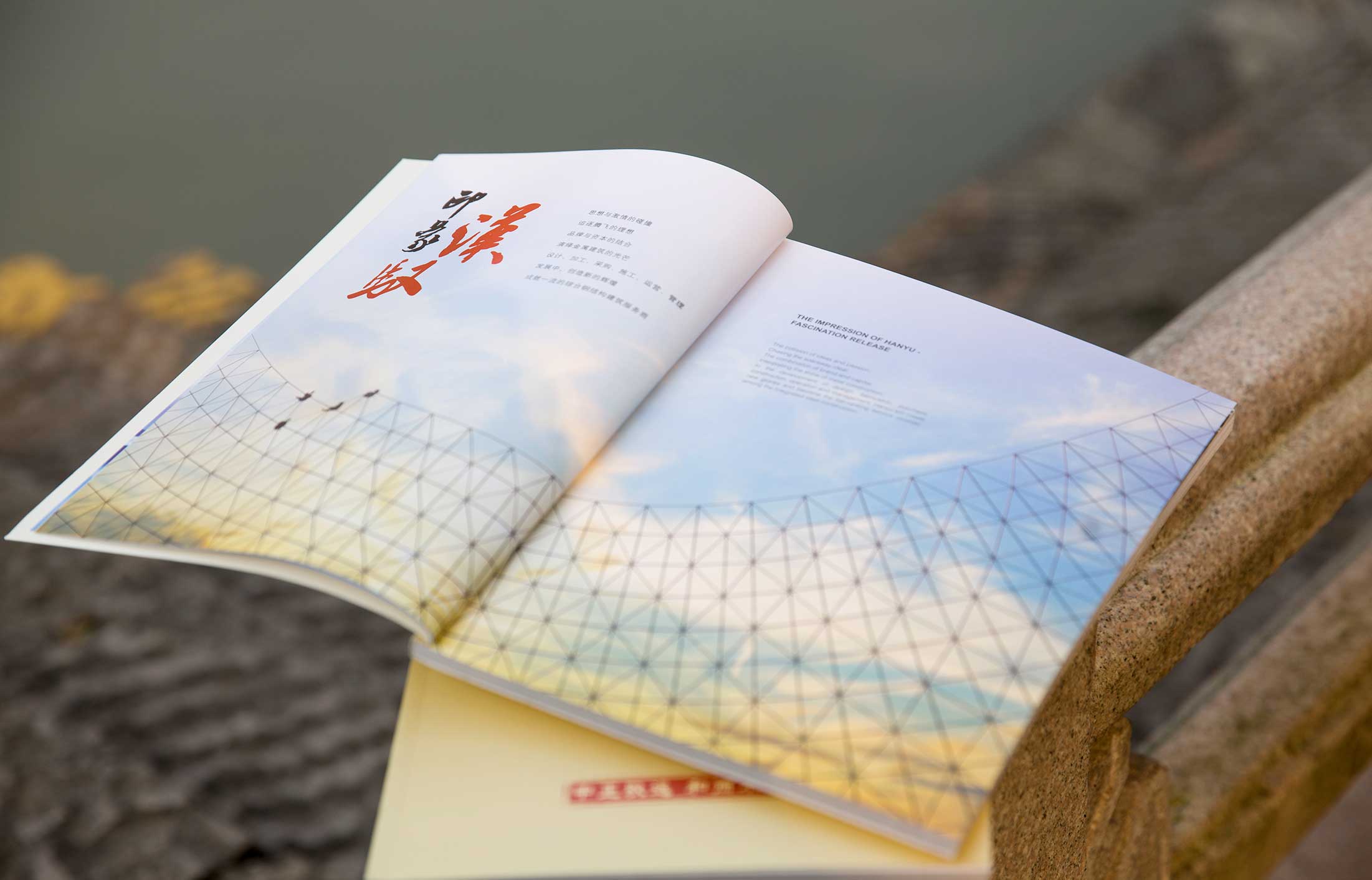 漢馭鋼構(gòu)集團(tuán)畫(huà)冊(cè)